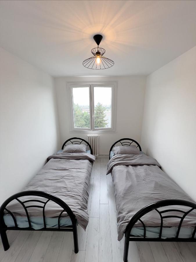Appartement Spacieux Avec Balcon Saint-Fons Buitenkant foto