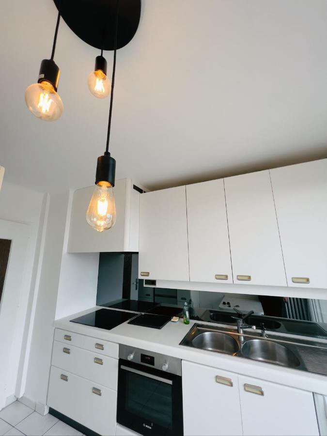 Appartement Spacieux Avec Balcon Saint-Fons Buitenkant foto